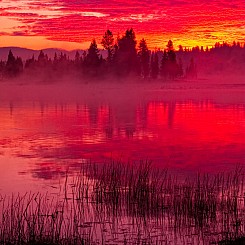 001 Sunrise at Fishing Bridge 1 Yellowstone NP