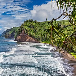 001a Pololu (L136)