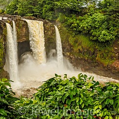 001b After the Rains (L130)