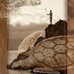 002 Honu Blessing P002