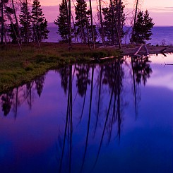 003 Sedge Creek Yellowstone NP