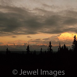 005 Mountain Golden Glow Mt.McKinley NP