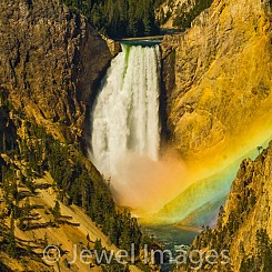 008 Rainbow at Lower Falls Yellowstone NP