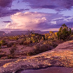 031 Pothole Pt Canyonlands NP