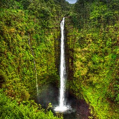 032 Akaka Falls L056