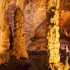 034 Devils Spring Carlsbad Caverns NM