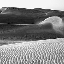 044 Endless Dunes Nipomo Dunes CA