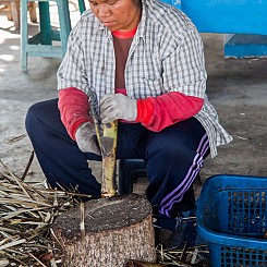 044 Making Sweet Sticky Rice Thailand