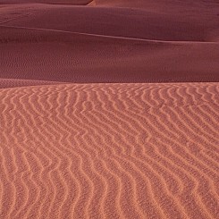 050 Dune Ripples Nipomo Dunes CA