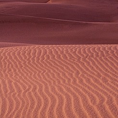 050 Dune Ripples Nipomo Dunes CA