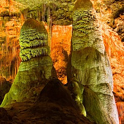 051 Sentries Carlsbad Caverns NM