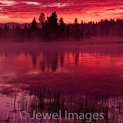 052 Sunrise at Fishing Bridge 2 Yellowstone NP