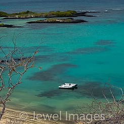 055 Floreana Island Black Beach 0356