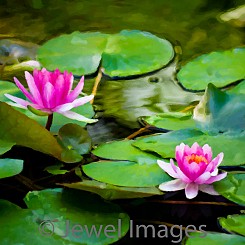 058 Water Lily Series I (painted) V002