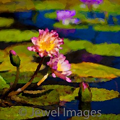 059 Water Lily Series II (painted) V004