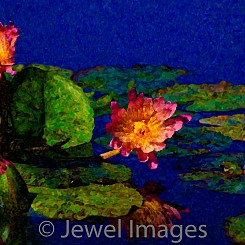 060 Water Lily Series III (painted) V006