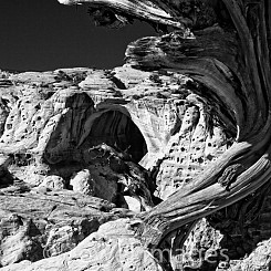 063 Cassidy Arch Capitol Reef NP