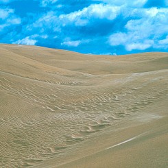 064 Basic Elements Nipomo Dunes CA