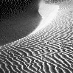 067 Wind Ripples Nipomo Dunes CA