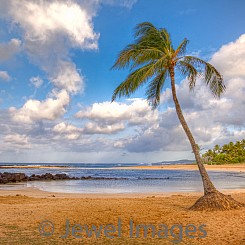 074 Poipu Beach L024