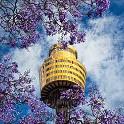 075 Sydney Tower Australia