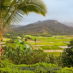 077 Hanalei Lookout L062